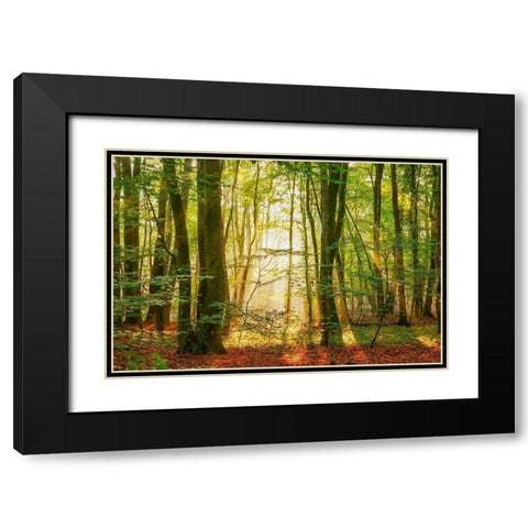 Power Beam Black Modern Wood Framed Art Print with Double Matting by Van de Goor, Lars