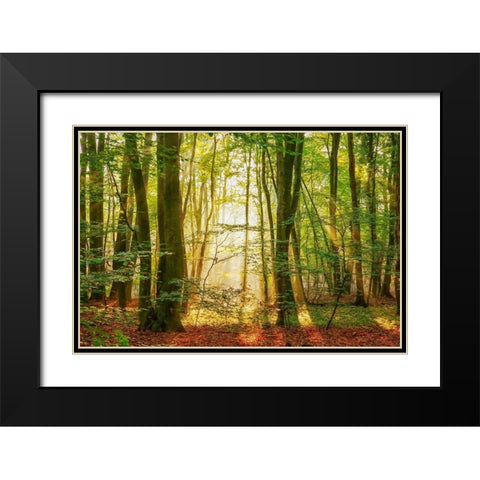 Power Beam Black Modern Wood Framed Art Print with Double Matting by Van de Goor, Lars