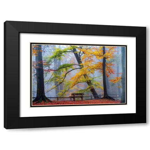 Take A Seat And Enjoy Black Modern Wood Framed Art Print with Double Matting by Van de Goor, Lars