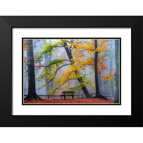 Take A Seat And Enjoy Black Modern Wood Framed Art Print with Double Matting by Van de Goor, Lars