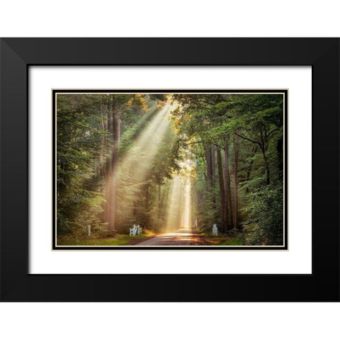 This Beam is Booming Black Modern Wood Framed Art Print with Double Matting by Van de Goor, Lars