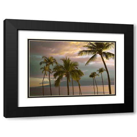 Hawaii Palm Sunset No. 1 Black Modern Wood Framed Art Print with Double Matting by Vargas, Carlos