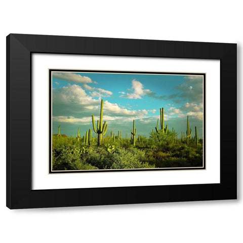 Saguaros No. 2 Black Modern Wood Framed Art Print with Double Matting by Vargas, Carlos