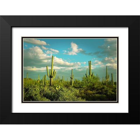 Saguaros No. 2 Black Modern Wood Framed Art Print with Double Matting by Vargas, Carlos