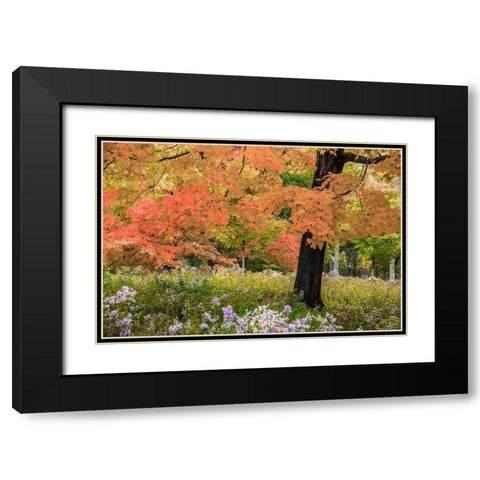 Autumn Splendor Black Modern Wood Framed Art Print with Double Matting by Varona, Verne
