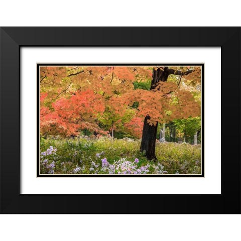 Autumn Splendor Black Modern Wood Framed Art Print with Double Matting by Varona, Verne
