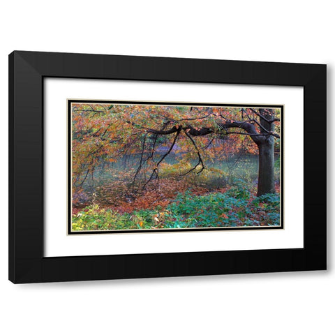 Fall Retreat Black Modern Wood Framed Art Print with Double Matting by Varona, Verne