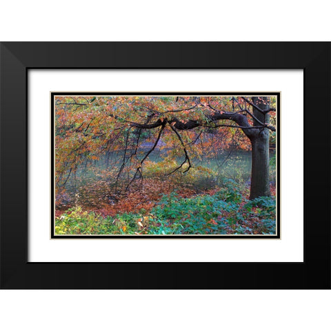 Fall Retreat Black Modern Wood Framed Art Print with Double Matting by Varona, Verne