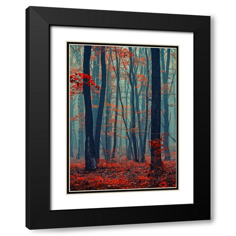 Autumn Forest In The Mist Black Modern Wood Framed Art Print with Double Matting by Vitomirov, Igor
