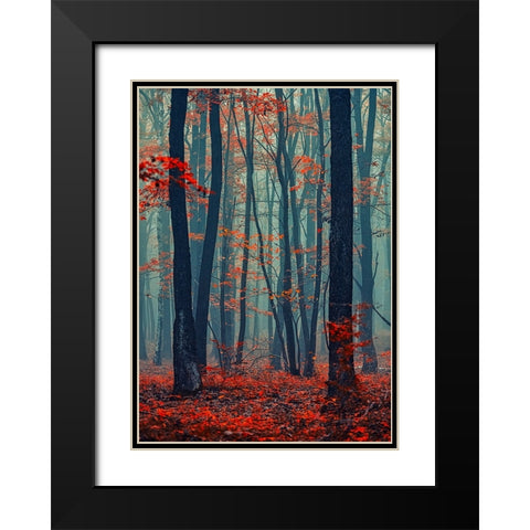 Autumn Forest In The Mist Black Modern Wood Framed Art Print with Double Matting by Vitomirov, Igor