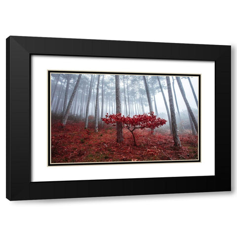 Misty Autumn Black Modern Wood Framed Art Print with Double Matting by Vitomirov, Igor