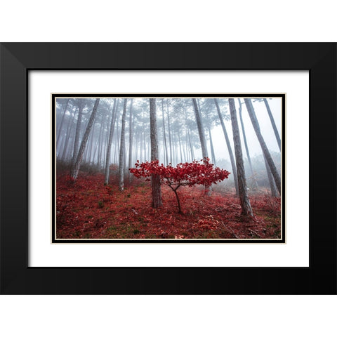 Misty Autumn Black Modern Wood Framed Art Print with Double Matting by Vitomirov, Igor
