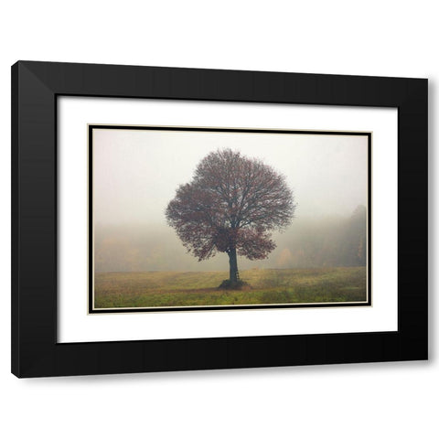 Tree In The Mist Black Modern Wood Framed Art Print with Double Matting by Vitomirov, Igor