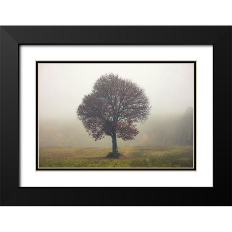 Tree In The Mist Black Modern Wood Framed Art Print with Double Matting by Vitomirov, Igor