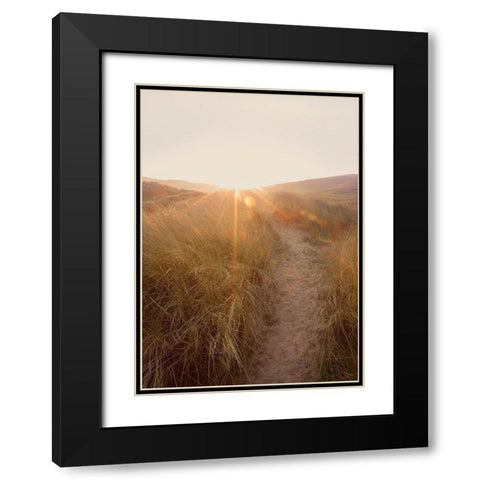 Dunes with Seagulls 4 Black Modern Wood Framed Art Print with Double Matting by Winstanley, Ian