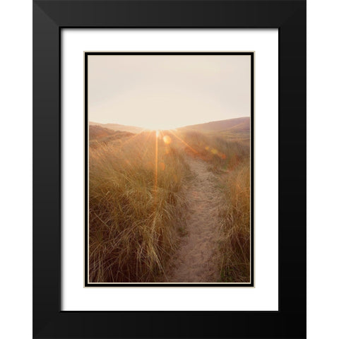 Dunes with Seagulls 4 Black Modern Wood Framed Art Print with Double Matting by Winstanley, Ian