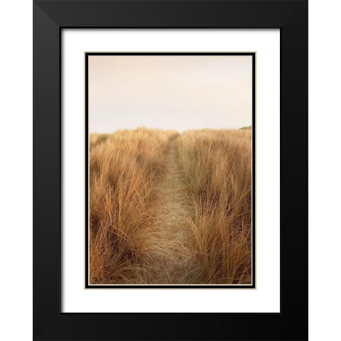 Dunes with Seagulls 6 Black Modern Wood Framed Art Print with Double Matting by Winstanley, Ian