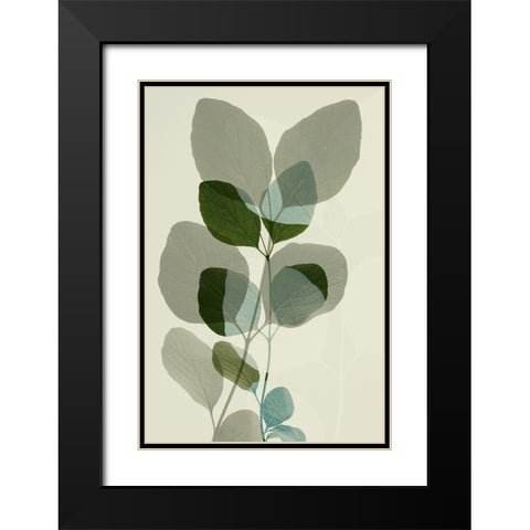 Green Leaves 10 Black Modern Wood Framed Art Print with Double Matting by Winstanley, Ian