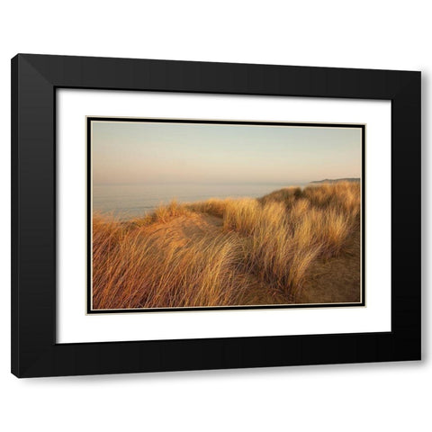 Dunes with Seagulls 7 Black Modern Wood Framed Art Print with Double Matting by Winstanley, Ian