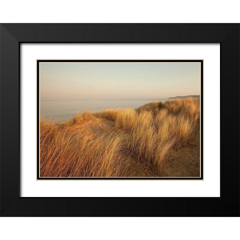 Dunes with Seagulls 7 Black Modern Wood Framed Art Print with Double Matting by Winstanley, Ian