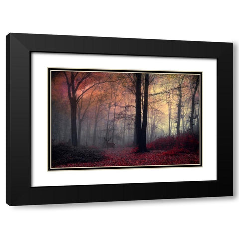 Forest Dream Black Modern Wood Framed Art Print with Double Matting by Wustenhagen, Dirk