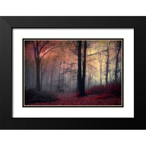 Forest Dream Black Modern Wood Framed Art Print with Double Matting by Wustenhagen, Dirk
