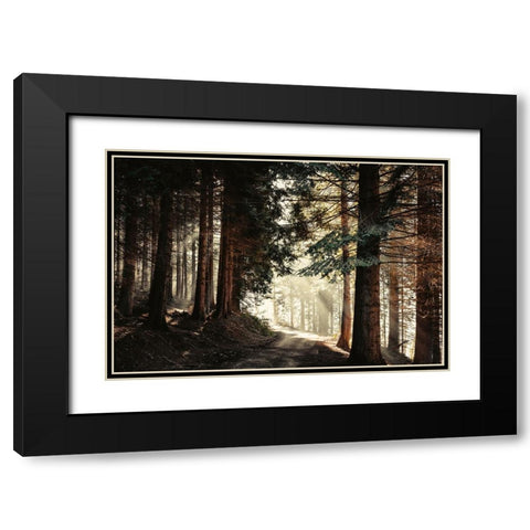 Light Magic Black Modern Wood Framed Art Print with Double Matting by Wustenhagen, Dirk
