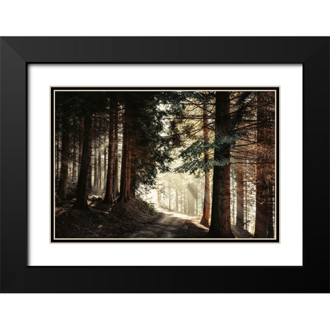 Light Magic Black Modern Wood Framed Art Print with Double Matting by Wustenhagen, Dirk