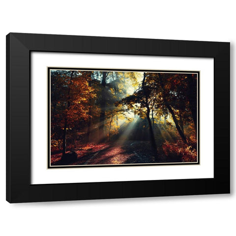 Magic Forest Light Black Modern Wood Framed Art Print with Double Matting by Wustenhagen, Dirk