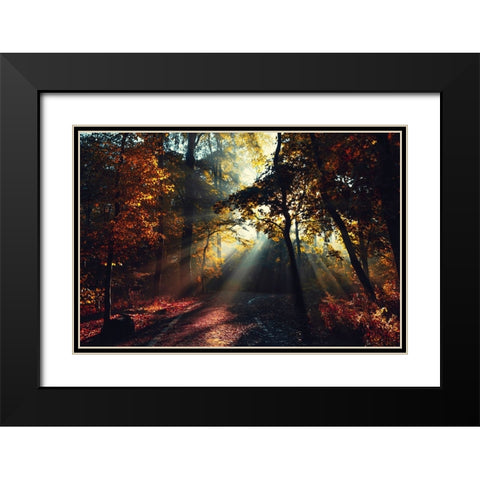 Magic Forest Light Black Modern Wood Framed Art Print with Double Matting by Wustenhagen, Dirk