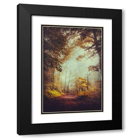 Silent Forest Black Modern Wood Framed Art Print with Double Matting by Wuestenhagen, Dirk