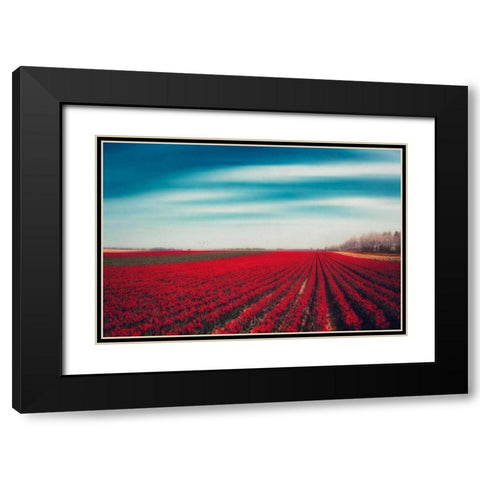 Tulips Black Modern Wood Framed Art Print with Double Matting by Wuestenhagen, Dirk