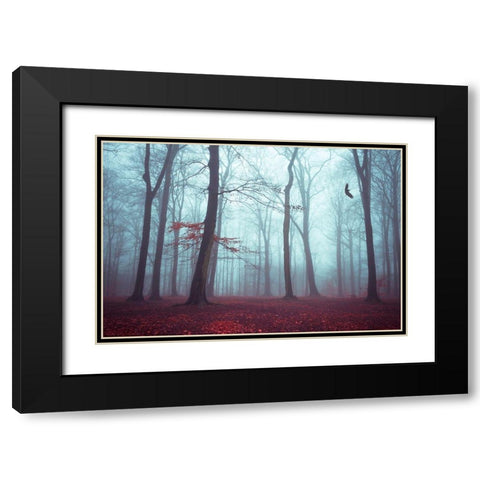Solstice in Fog Black Modern Wood Framed Art Print with Double Matting by Wuestenhagen, Dirk