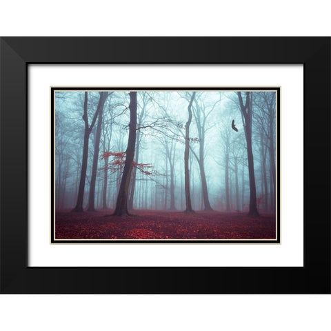 Solstice in Fog Black Modern Wood Framed Art Print with Double Matting by Wuestenhagen, Dirk