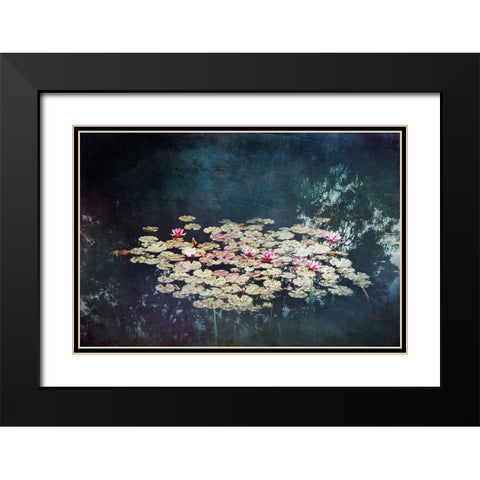 Waterlilies Black Modern Wood Framed Art Print with Double Matting by Wuestenhagen, Dirk