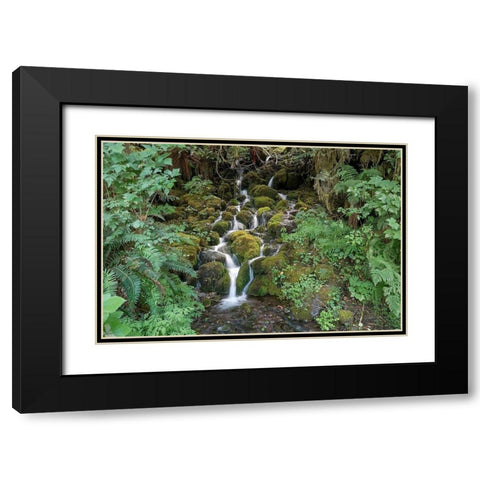 Fern Waterfall Black Modern Wood Framed Art Print with Double Matting by White, Lynda