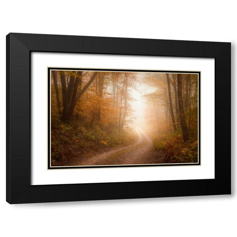 Familiar Dream Black Modern Wood Framed Art Print with Double Matting by Zephyr, Patrick
