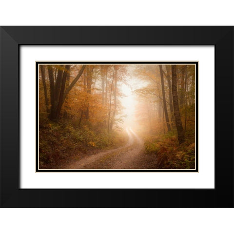 Familiar Dream Black Modern Wood Framed Art Print with Double Matting by Zephyr, Patrick