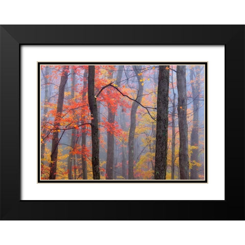 Fire in the Fog Black Modern Wood Framed Art Print with Double Matting by Zephyr, Patrick