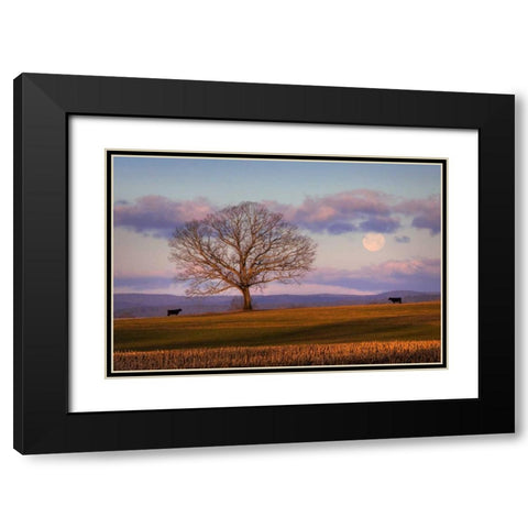 Meeting at Dawn Black Modern Wood Framed Art Print with Double Matting by Zephyr, Patrick
