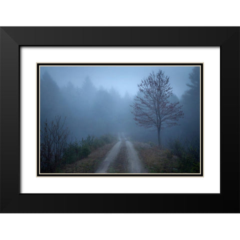 Spring Fog Black Modern Wood Framed Art Print with Double Matting by Zephyr, Patrick