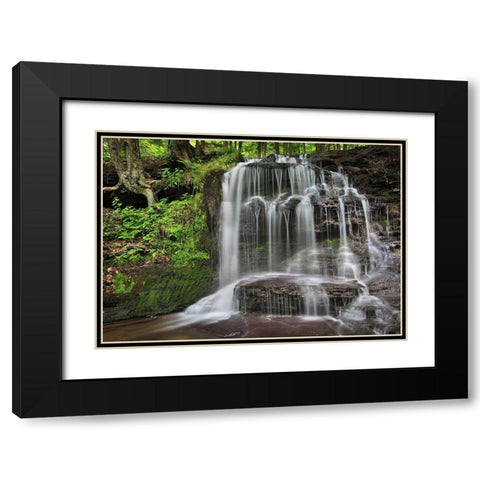 Gunn Brooks Falls Black Modern Wood Framed Art Print with Double Matting by Zephyr, Patrick