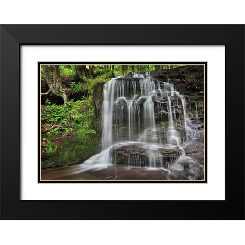 Gunn Brooks Falls Black Modern Wood Framed Art Print with Double Matting by Zephyr, Patrick