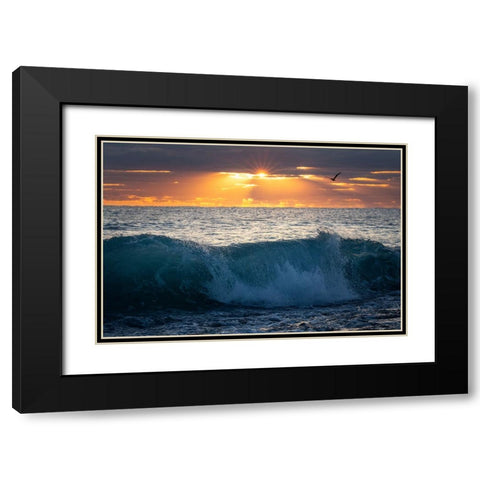 Pelican at Dawn Black Modern Wood Framed Art Print with Double Matting by Zephyr, Patrick