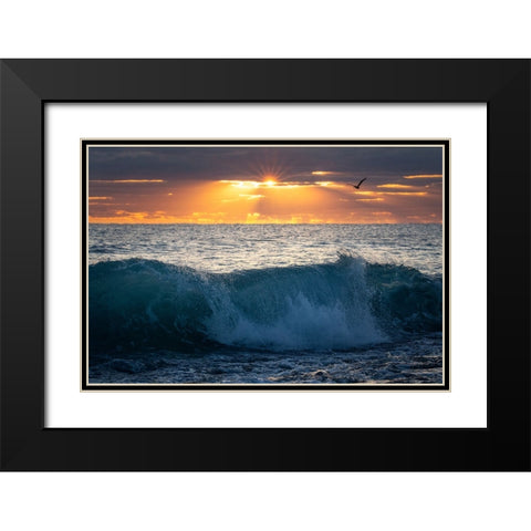 Pelican at Dawn Black Modern Wood Framed Art Print with Double Matting by Zephyr, Patrick
