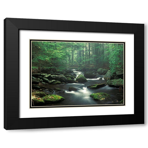 Sawmill River Black Modern Wood Framed Art Print with Double Matting by Zephyr, Patrick