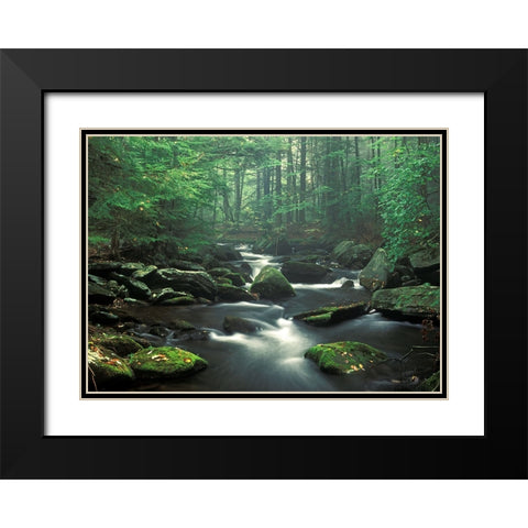 Sawmill River Black Modern Wood Framed Art Print with Double Matting by Zephyr, Patrick