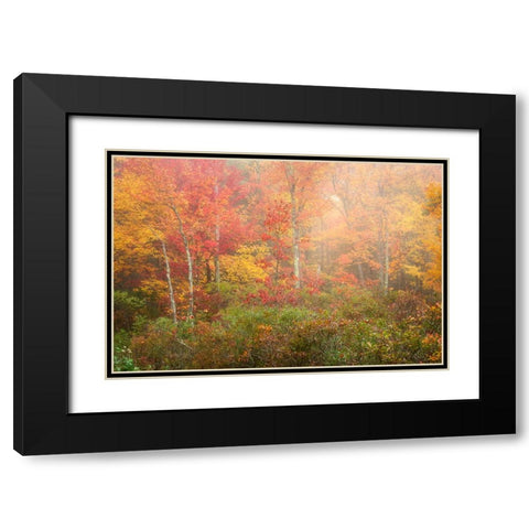 Soft Pallet Black Modern Wood Framed Art Print with Double Matting by Zephyr, Patrick
