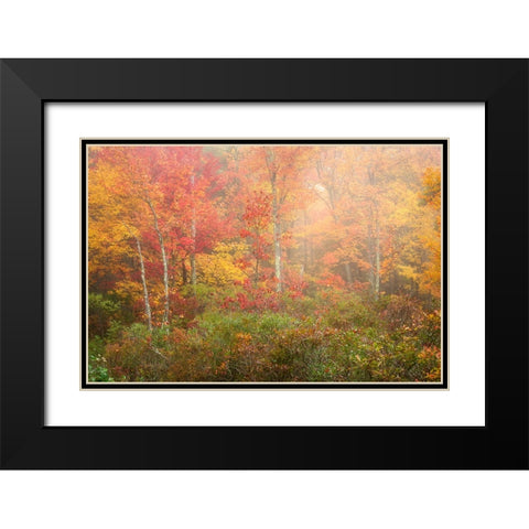 Soft Pallet Black Modern Wood Framed Art Print with Double Matting by Zephyr, Patrick