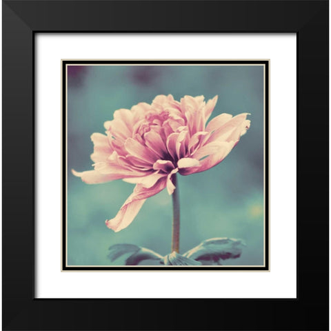 Gorgeous Pink Black Modern Wood Framed Art Print with Double Matting by Peck, Gail